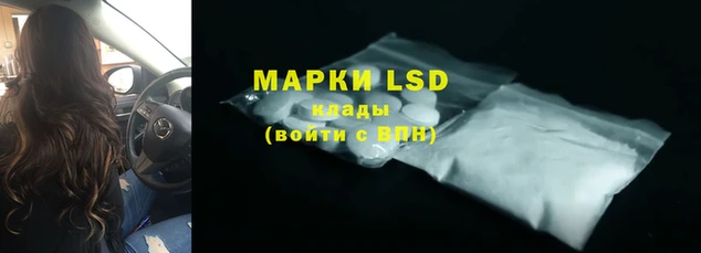 гидра Аркадак
