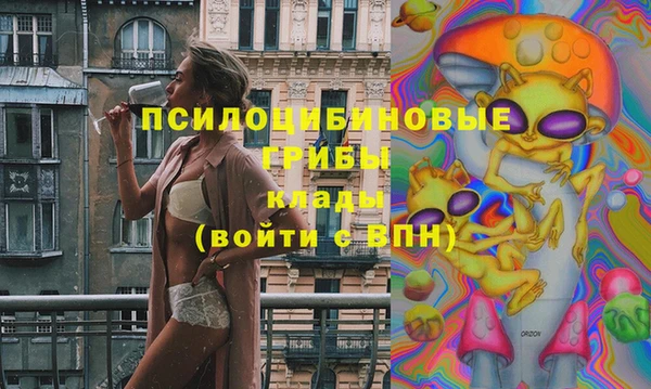 гидра Аркадак