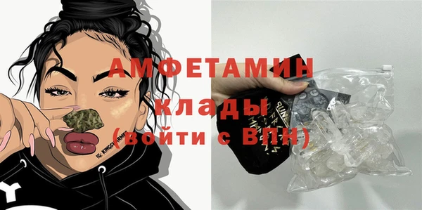 гидра Аркадак