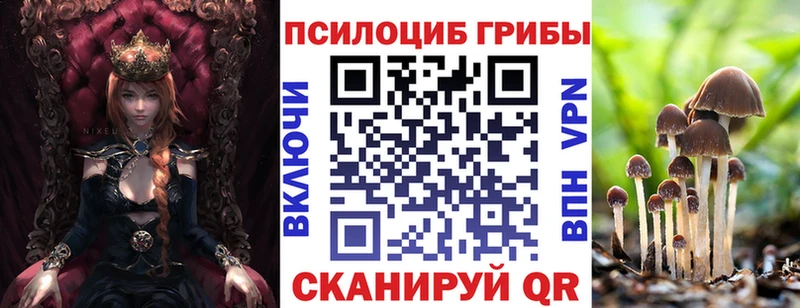 где найти   Фокино  Галлюциногенные грибы мицелий 